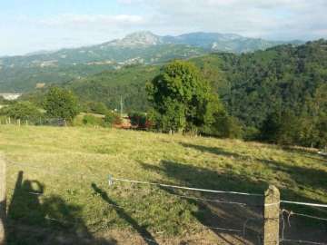 Vistas